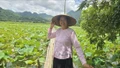 Ý tưởng làm du lịch từ đầm sen quê của người phụ nữ dân tộc Tày