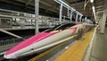 Nhật Bản: Tàu Shinkansen gặp sự cố, hàng nghìn người bị ảnh hưởng