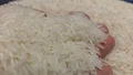 Giá gạo giảm sâu, doanh nghiệp Việt Nam chi 1 tỷ USD nhập khẩu về