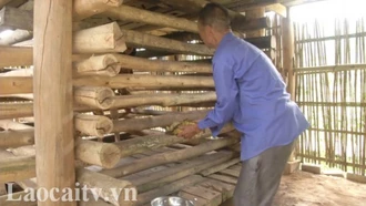 Những nỗi đau còn mãi