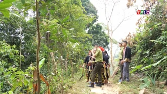 Hưởng lợi từ việc giữ rừng