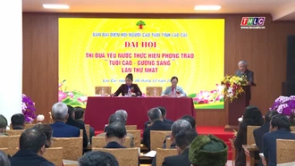 Tổng kết phong trào thi đua "tuổi cao gương sáng"