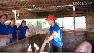 Nữ đảng viên tiên phong phát triển kinh tế