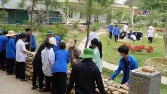 Những buổi chiều nội trú