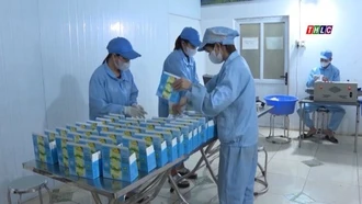 Tây Bắc chuyển động (30/6/2025)