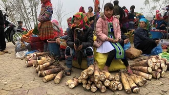 Ghé chơi chợ phiên Bắc Hà nét độc đáo vùng cao Tây Bắc