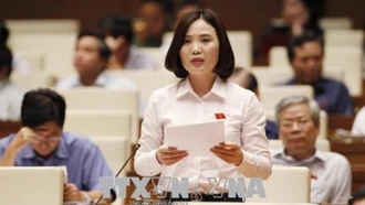 Đại biểu Quốc hội đề nghị giám sát thực hiện pháp luật về bạo hành trẻ em