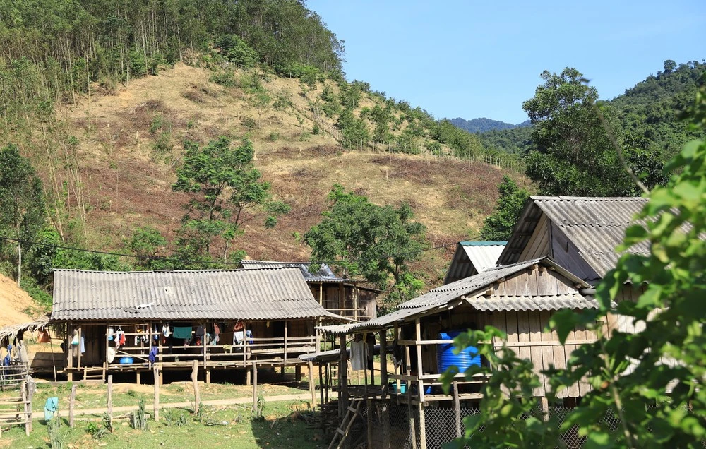 Ảnh chỉ có tính chất minh họa.