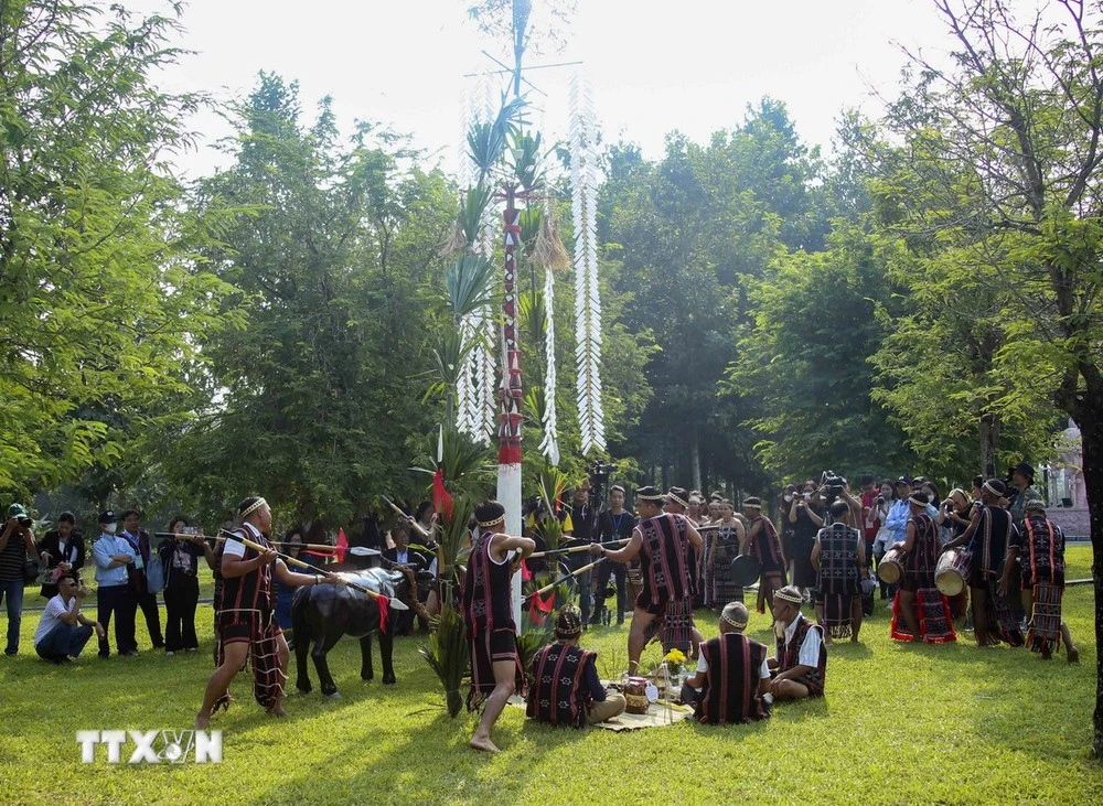 Lễ mừng lúa mới của người Cơ Tu (Đà Nẵng).