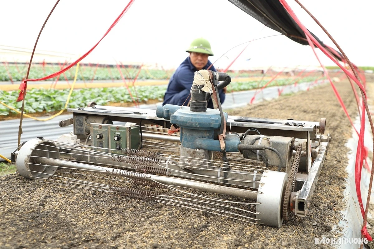Cận cảnh "Robot đặt hạt" do anh Hát sáng chế hoạt động trên cánh đồng Gia Lộc, Hải Dương.