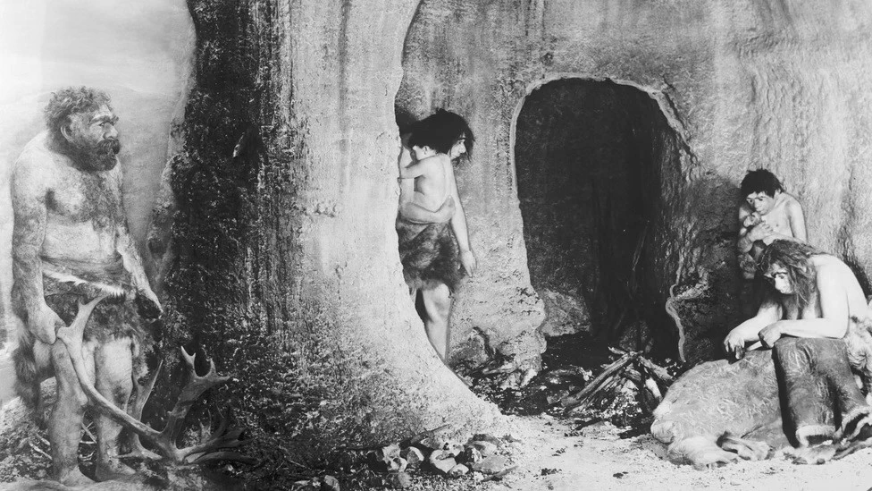 Chấy và rận tách làm 2 quần thể khi con người sơ khai bắt đầu mặc quần áo.