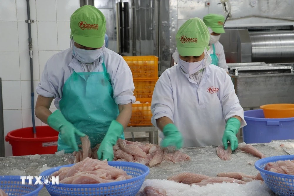 Chế biến cá tra xuất khẩu tại Công ty Cổ phần Gò Đàng, Khu công nghiệp Mỹ Tho.