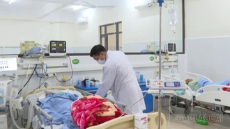 Ngành y tế Lào Cai tăng cường các biện pháp bảo đảm công tác y tế dịp Tết Nguyên đán Bính Ngọ 2026