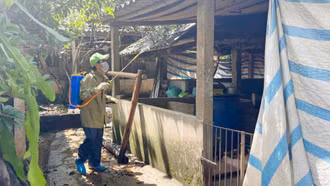 Các biện pháp phòng chống lây nhiễm virus Nipah trên đàn vật nuôi