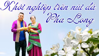 Khởi nghiệp trên núi đá Pha Long