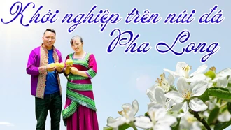 Khởi nghiệp trên núi đá Pha Long