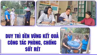 Duy trì bền vững kết quả công tác phòng, chống sốt rét
