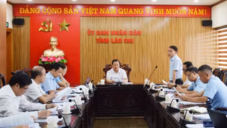 Hội đồng quản lý Quỹ Bảo vệ rừng và Môi trường tỉnh triển khai nhiệm vụ các tháng cuối năm