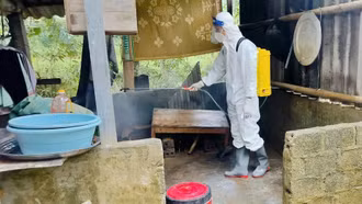 Tăng cường phòng, chống dịch sốt xuất huyết