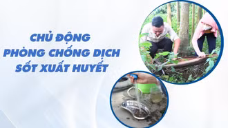 Chủ động phòng bệnh sốt xuất huyết