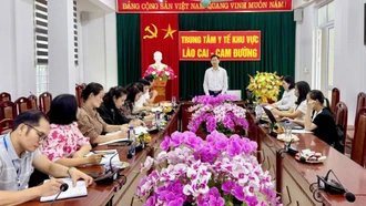 Kiểm tra, giám sát các hoạt động của ngành y tế triển khai thực hiện Chương trình mục tiêu quốc gia