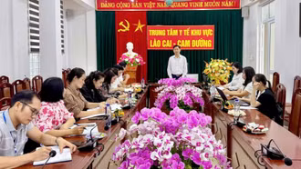 Kiểm tra, giám sát các hoạt động của ngành y tế triển khai thực hiện Chương trình mục tiêu quốc gia 