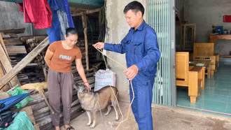 Chấn chỉnh, tăng cường chỉ đạo, thực hiện các biện pháp phòng, chống bệnh dại động vật