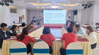 Thảo luận kế hoạch triển khai khoản viện trợ quốc tế hỗ trợ hộ dân bị ảnh hưởng bởi bão Yagi