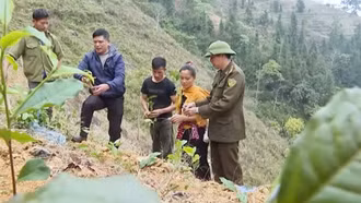 Dấu ấn giảm nghèo ở Pha Long