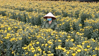 Agribank Lào Cai II tăng cường phối hợp triển khai tín dụng phát triển nông nghiệp, nông thôn