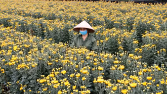 Agribank Lào Cai II tăng cường phối hợp triển khai tín dụng phát triển nông nghiệp, nông thôn