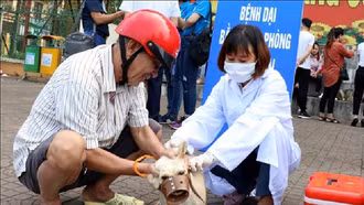 4 người bị thương do chó dại thả rông cắn