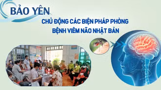 Chủ động các biện pháp phòng bệnh viêm não Nhật Bản