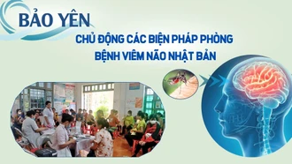 Chủ động các biện pháp phòng bệnh viêm não Nhật Bản