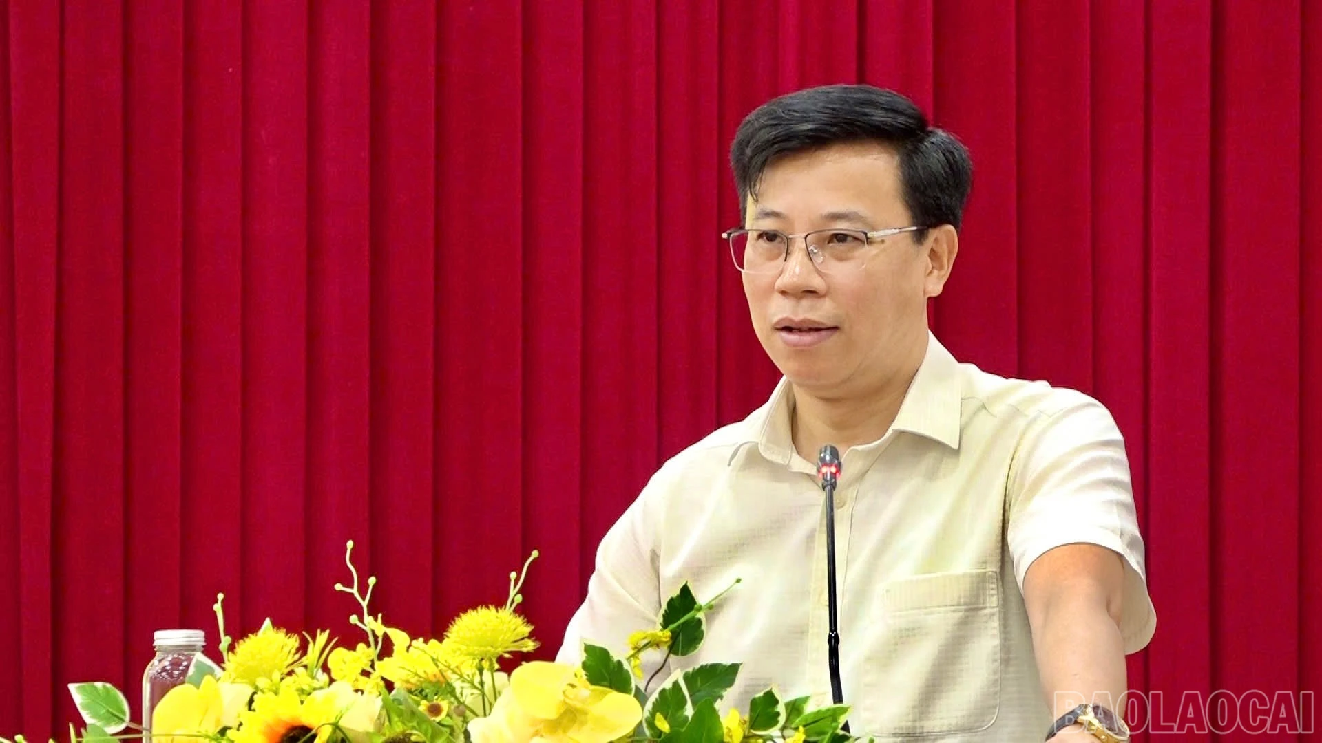 baolaocai-br_img-9451.jpg