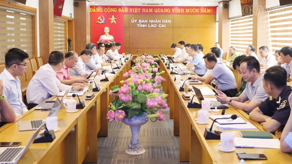 Tổ công tác 1531 của Bộ Nông nghiệp và Môi trường làm việc tại tỉnh Lào Cai