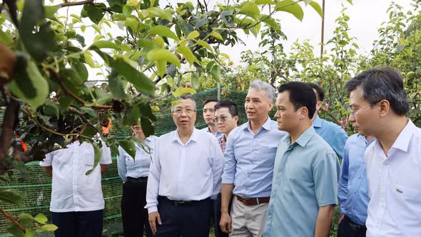 Thứ trưởng Bộ Nông nghiệp và Môi trường khảo sát mô hình sản xuất dược liệu và cây ăn quả tại xã Bắc Hà