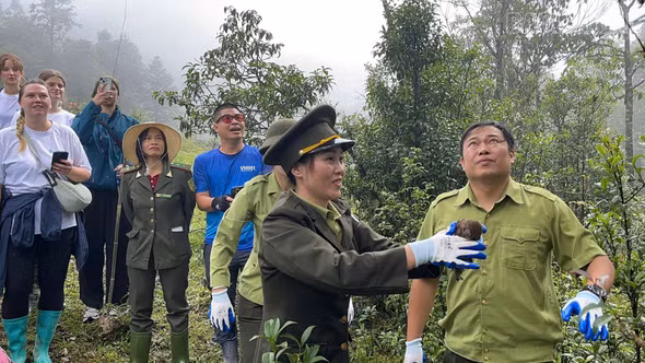 Vườn Quốc gia Hoàng Liên tái thả 57 cá thể động vật hoang dã về môi trường tự nhiên