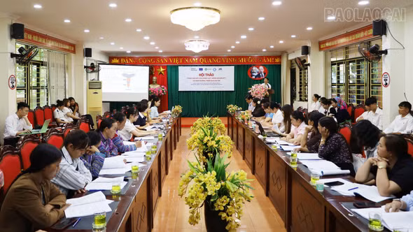 Lào Cai: KCS Gateway tham vấn kết quả khảo sát, thúc đẩy tiêu thụ sản phẩm OCOP trên nền tảng số