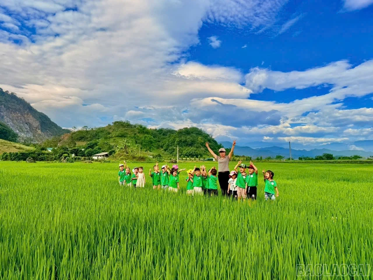 baolaocai-br_694678412-845721561904679-2028588499694517176-n.jpg