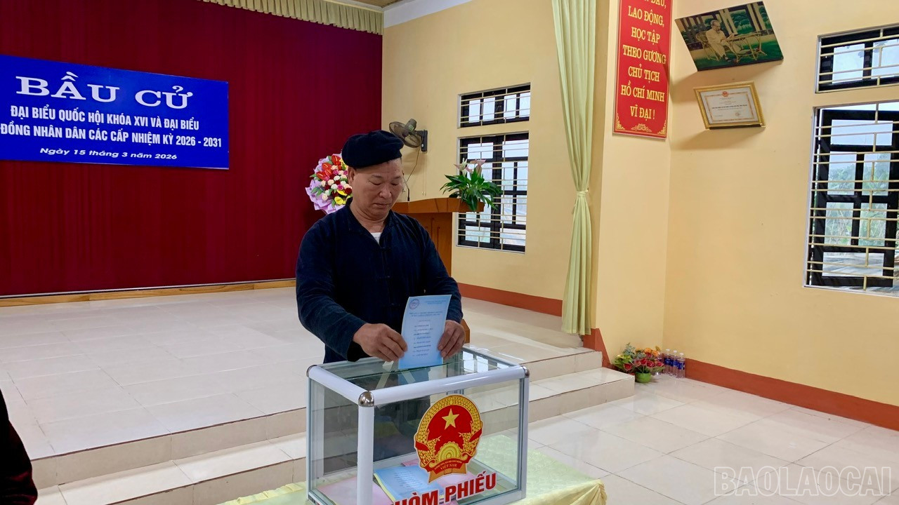 Các cử tri tiến hành bỏ phiếu bầu cử.