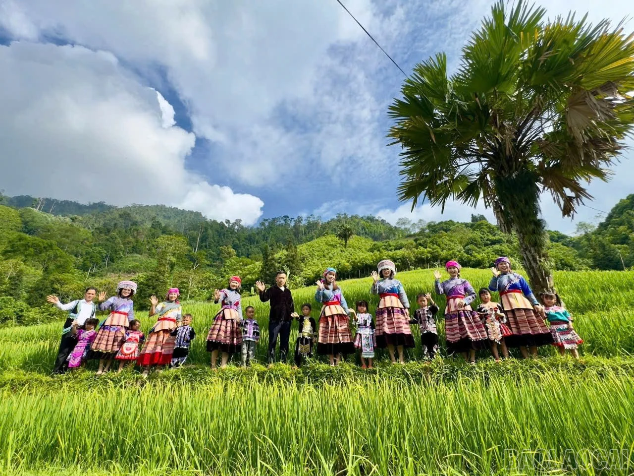 baolaocai-br_z7783717779879-3dc0525e21a25424f0949d83d4369f20.jpg