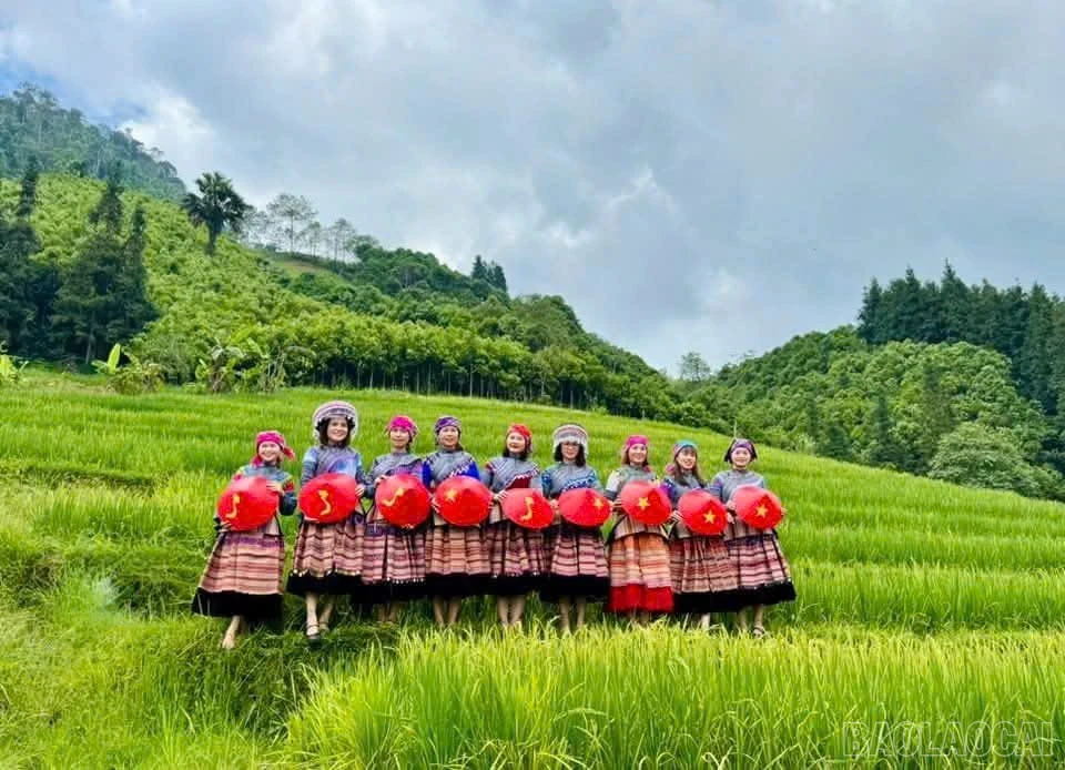 baolaocai-br_z7783717781142-44509d7914080408f8cd69bc5b1eb0b7.jpg