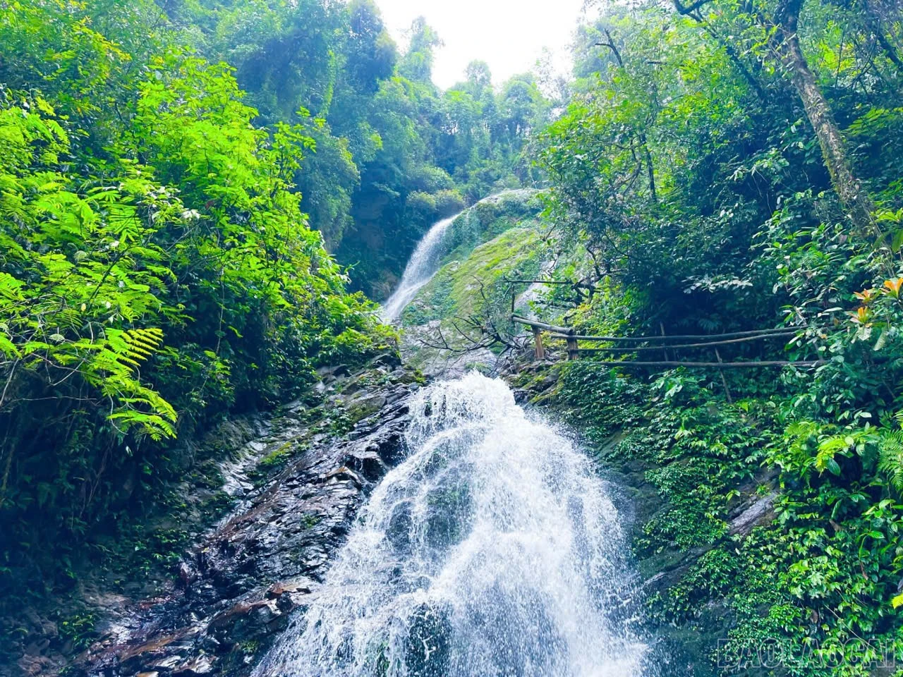 baolaocai-br_z7783717834028-c35164d9cf566bb1dd22e94c881d75d1.jpg