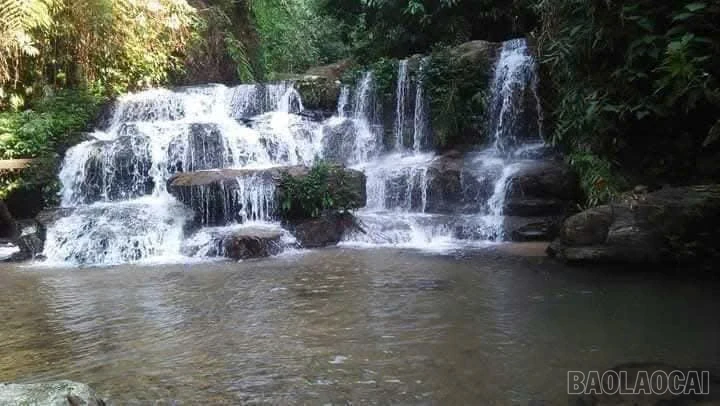 baolaocai-br_z7783717783399-408ac24fe5d39fbaaf3780d61504569f.jpg