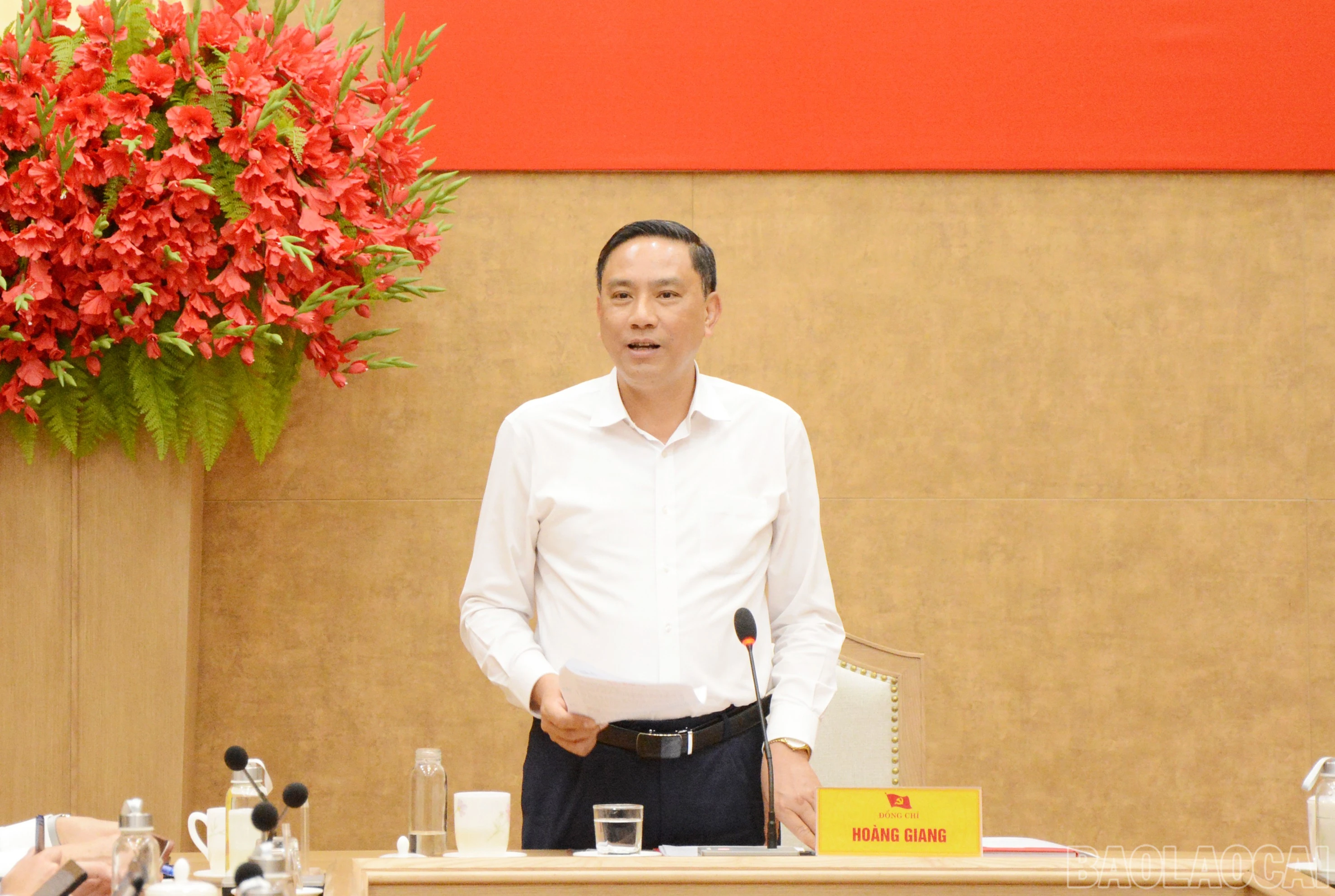 baolaocai-br_3-jpg.jpg