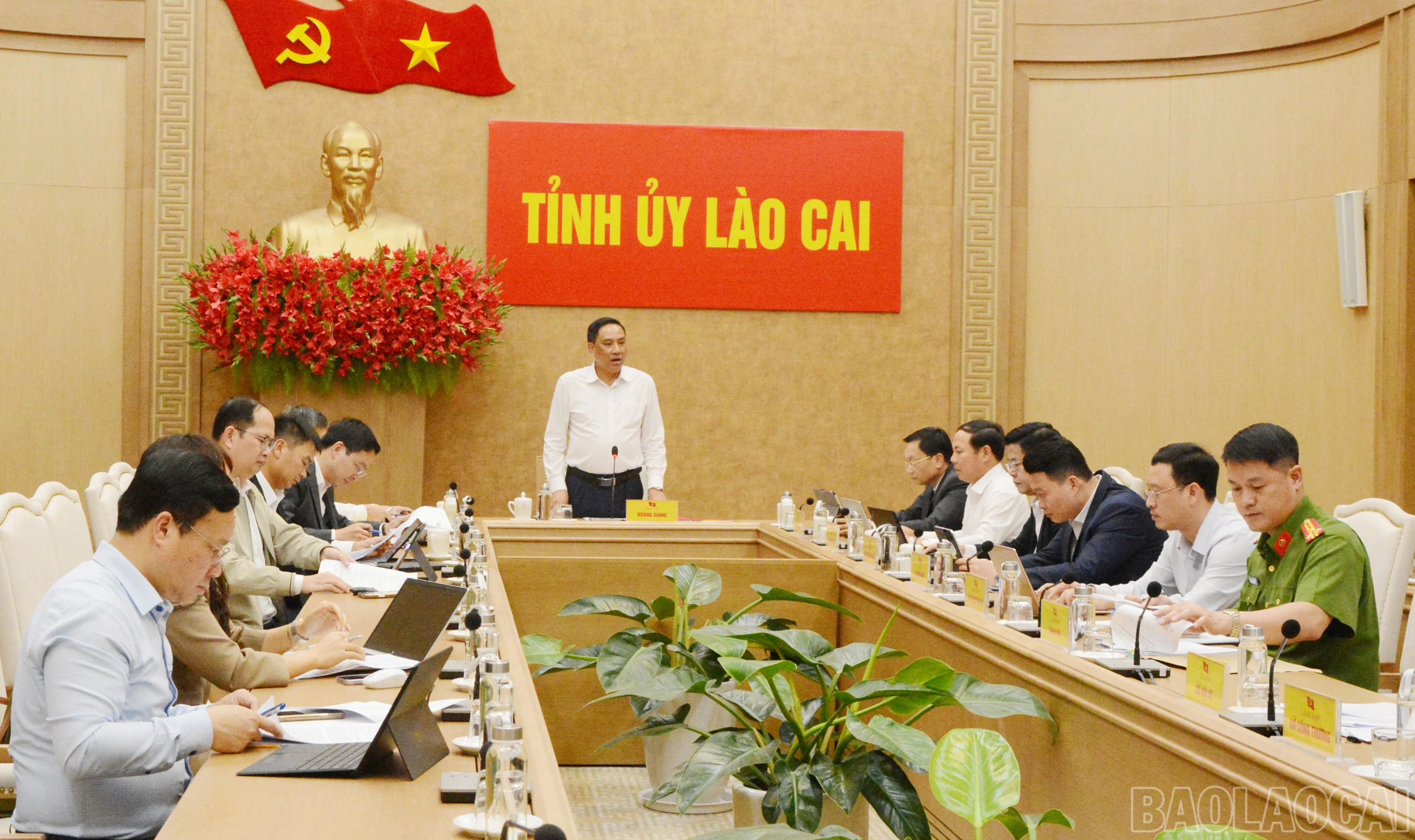 baolaocai-br_1.jpg