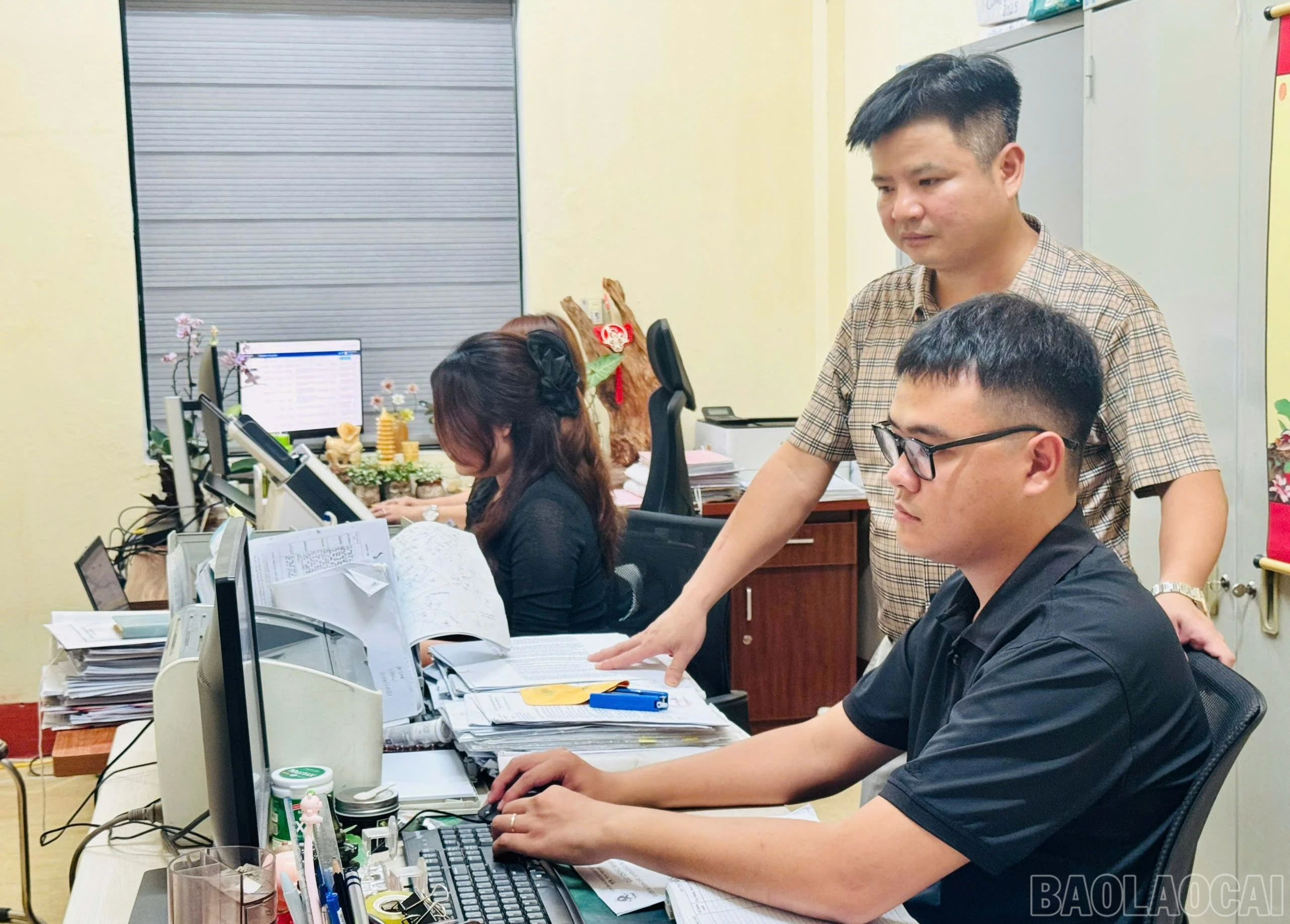 baolaocai-br_du-lieu-yen-binh-71635698-2066.jpg