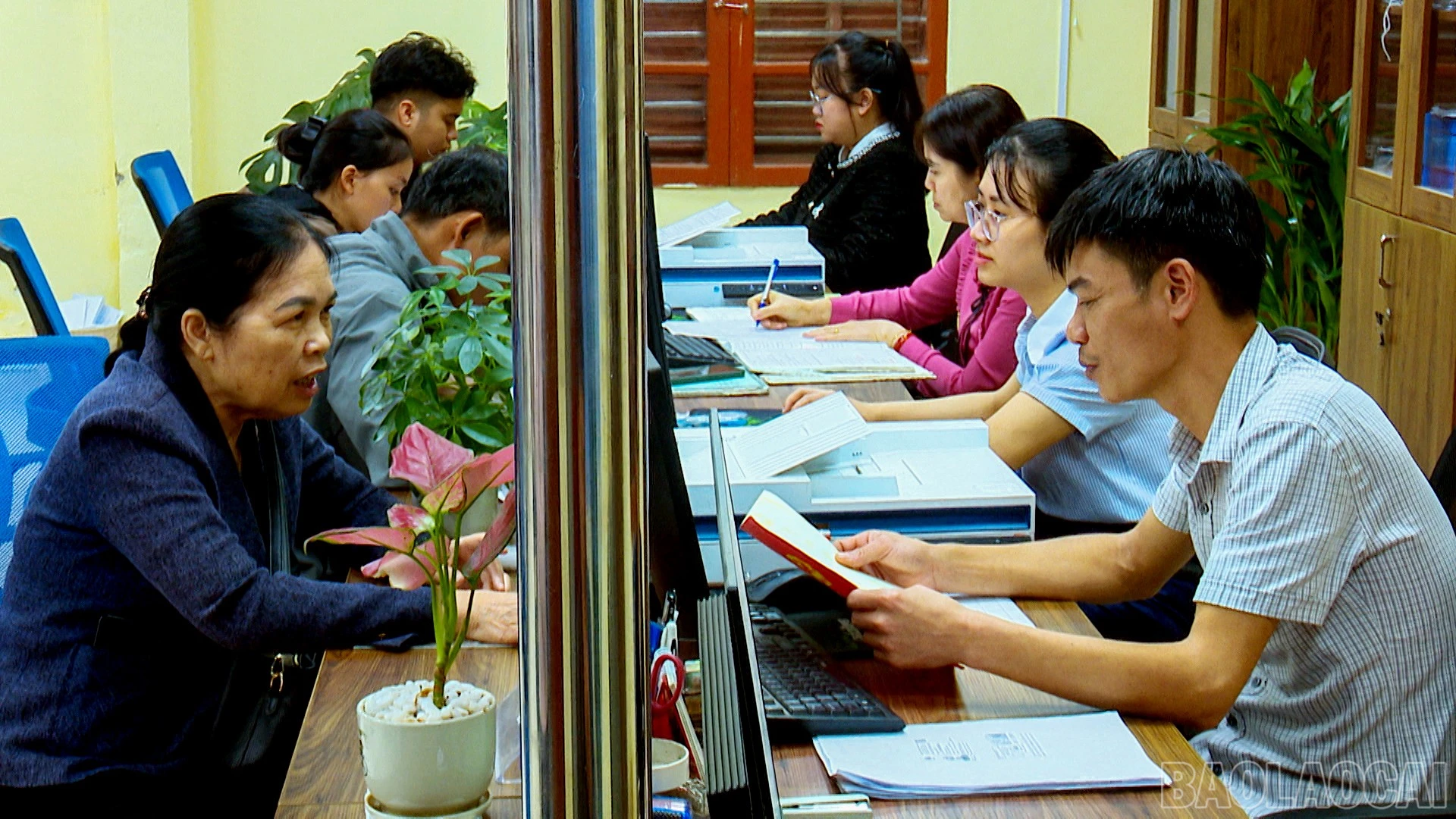 baolaocai-br_sequence-8000-04-34-22still002.jpg