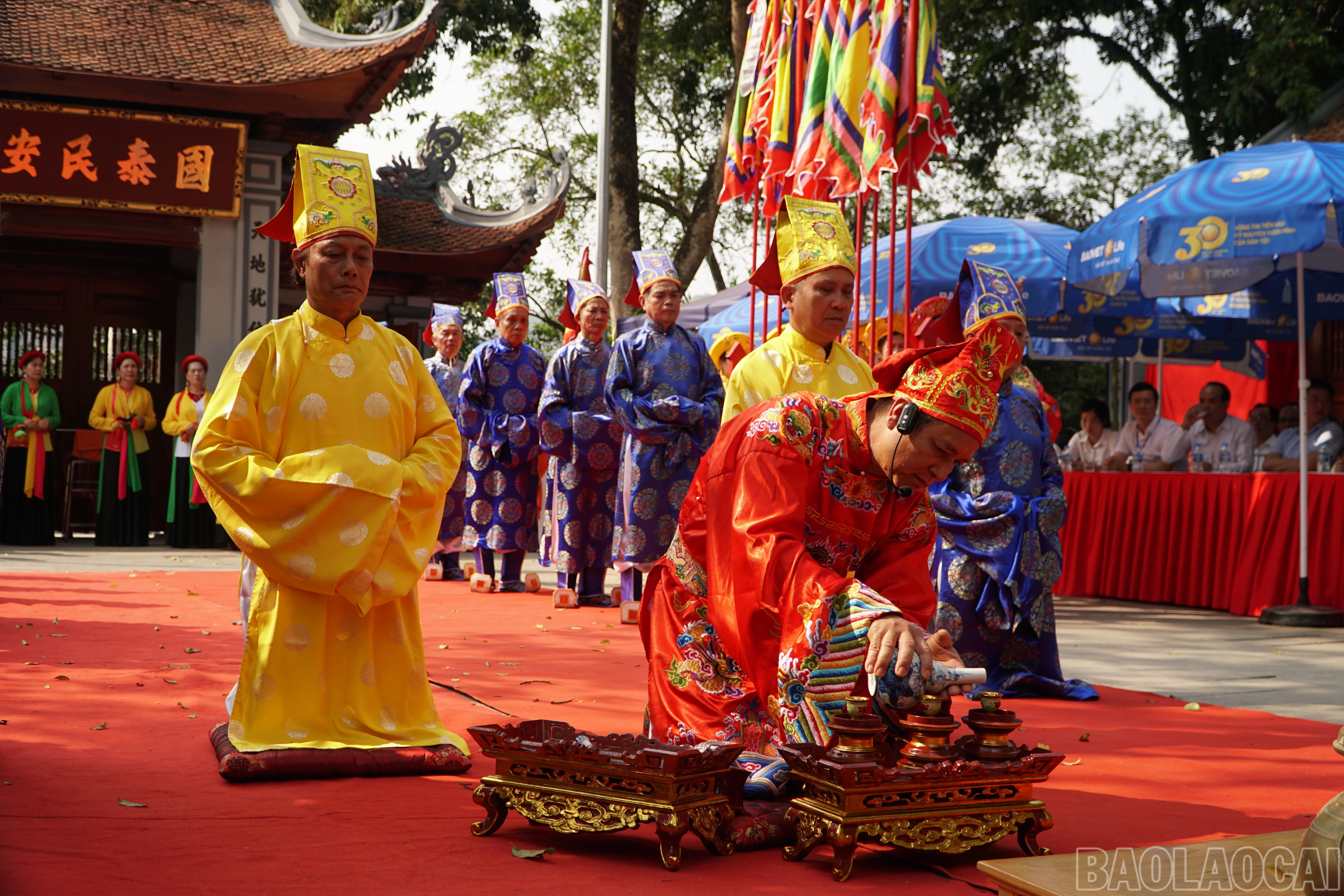 baolaocai-br_img-8876.jpg